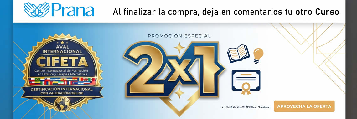 2x1